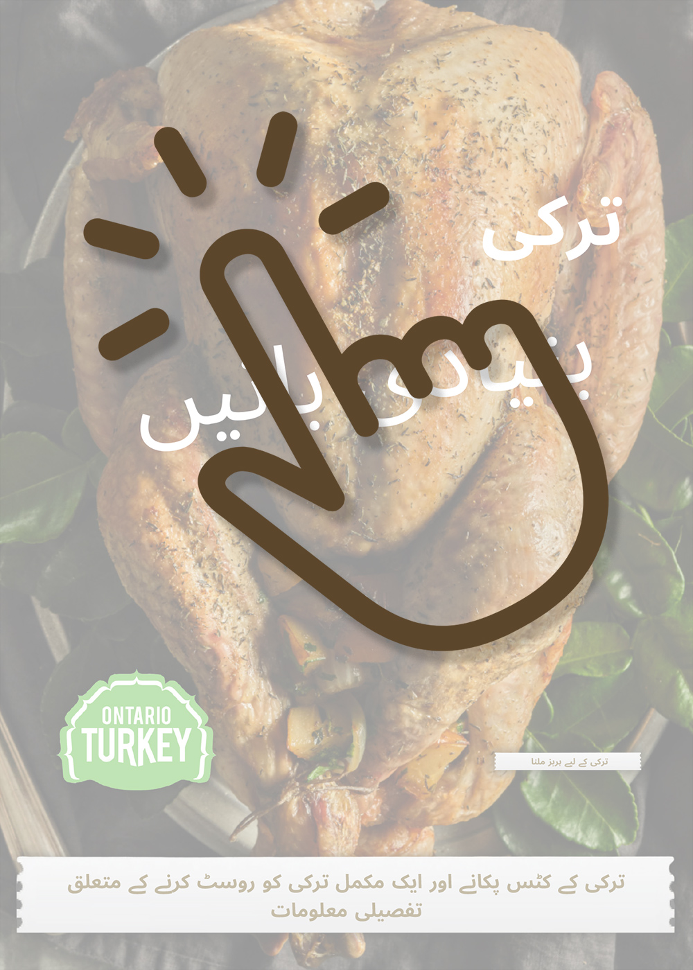 Turkey Basics Booklet in Urdu Translation Ontario Turkey